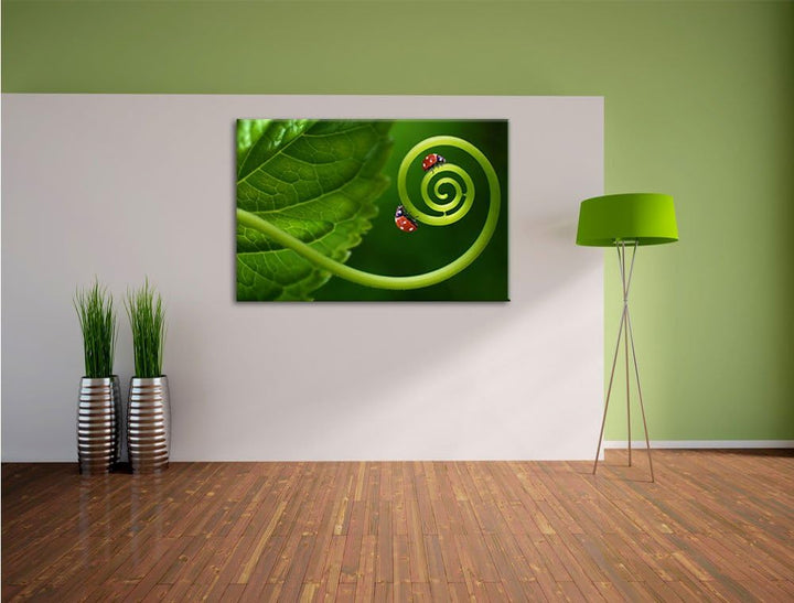 Pixxprint Zwei Marienkäfer auf einem Stängel als Leinwandbild/Grösse: 100x70 / Wandbild/Kunstdruck/f