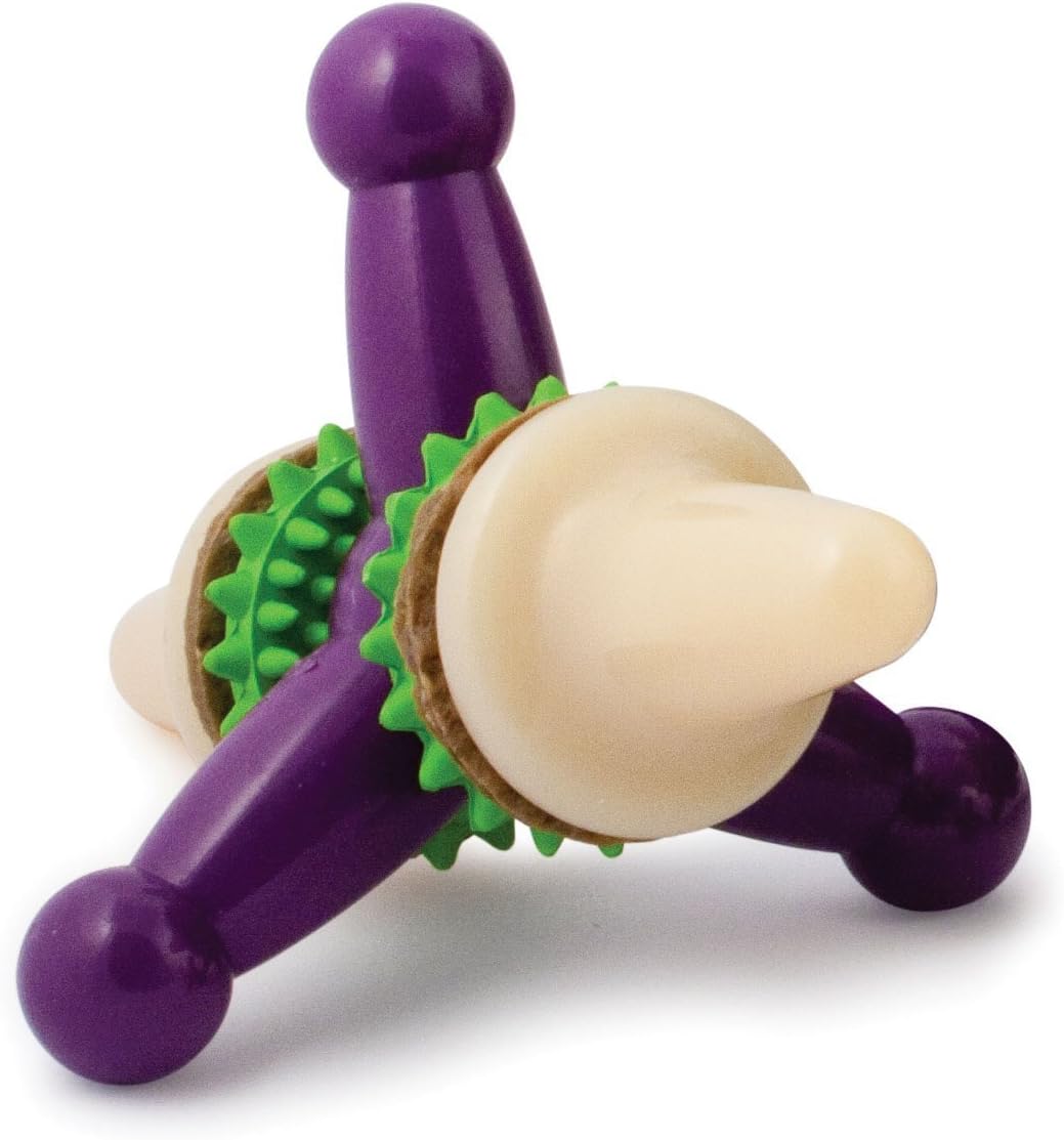 PetSafe Busy Buddy Jack Hundespielzeug, L