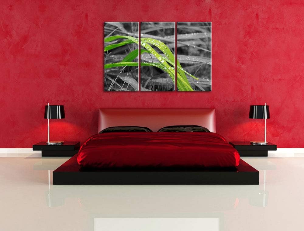 Grashalme im Morgentau schwarz/weiss 3-Teiler Leinwandbild 120x80 Bild auf Leinwand, XXL riesige Bil