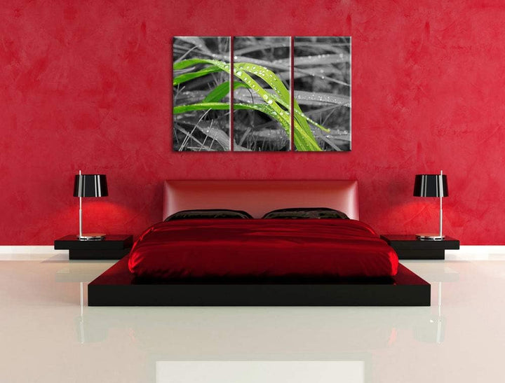 Grashalme im Morgentau schwarz/weiss 3-Teiler Leinwandbild 120x80 Bild auf Leinwand, XXL riesige Bil