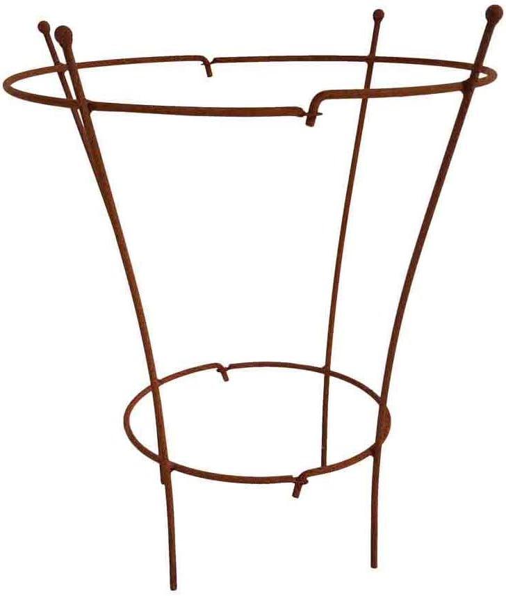 Staudenhalter Rostig Höhe: 60cm - 2 TLG. Strauchhalter Rankgerüst, Rost, Höhe 60cm