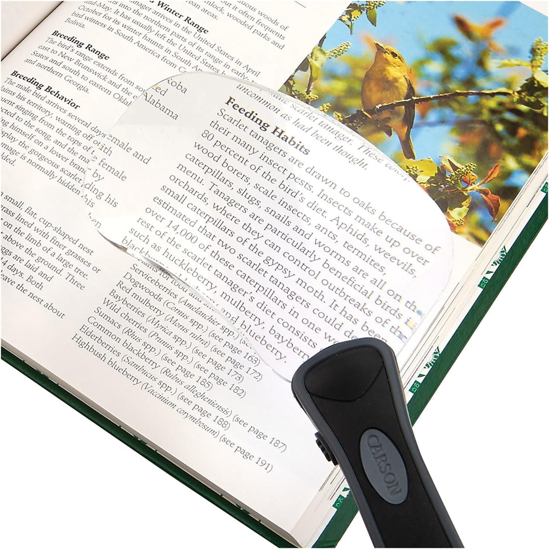 Carson Lighted RimFree 2x Handlupe mit LED, ergonomischem Griff und Linse im Rechteckformat (RM-77)