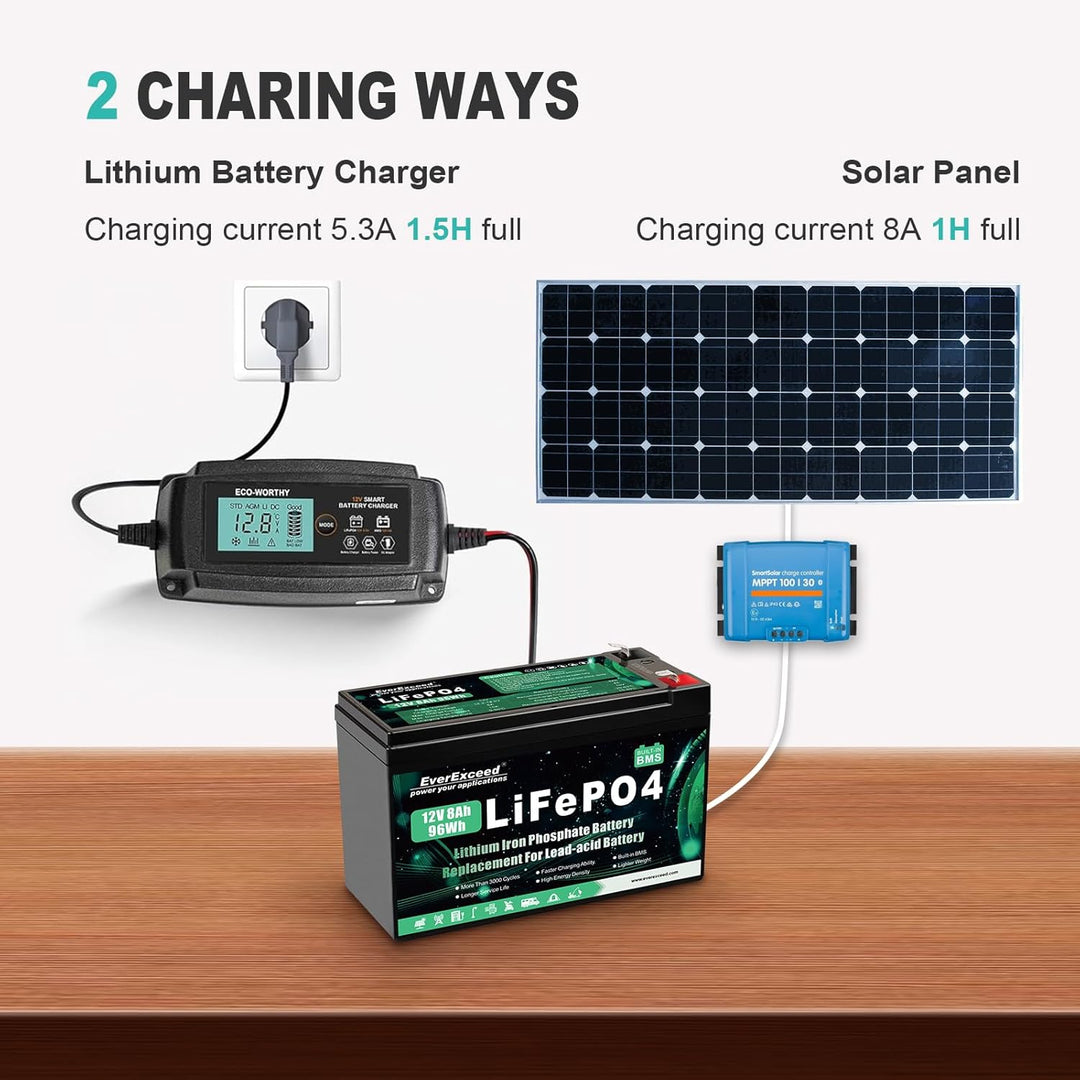 12V 8Ah Wiederaufladbare Lithium Batterie, 12v Batterie mit integriertem BMS, 3000+ Tiefe Zyklen Bat
