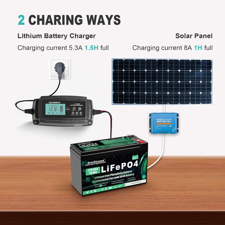 12V 8Ah Wiederaufladbare Lithium Batterie, 12v Batterie mit integriertem BMS, 3000+ Tiefe Zyklen Bat