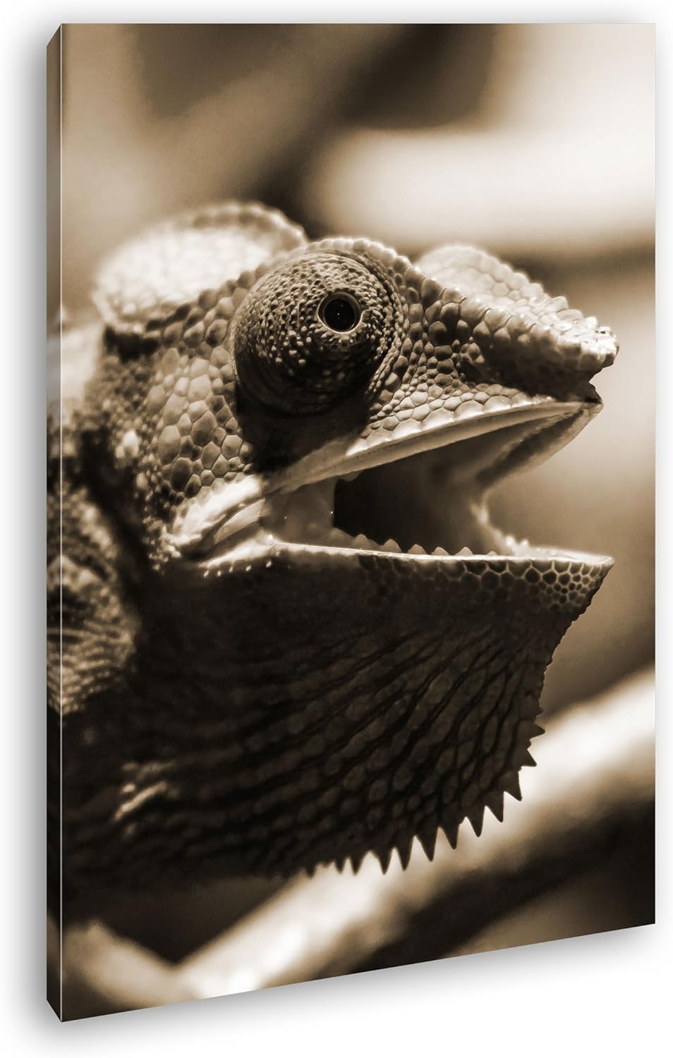 deyoli lustiges Chamäleon Format: 80x60 Effekt: Sepia als Leinwand, Motiv fertig gerahmt auf Echthol