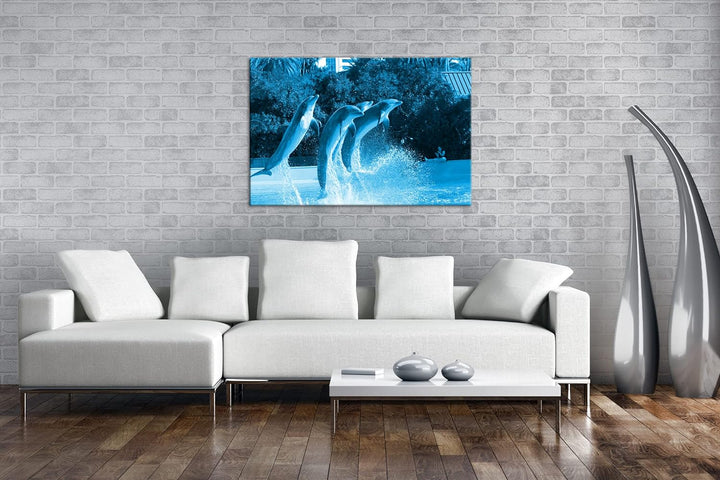 deyoli springende Delphine im Zoo Format 80x60 Effekt: Monocrome Blau als Leinwandbild, Motiv fertig