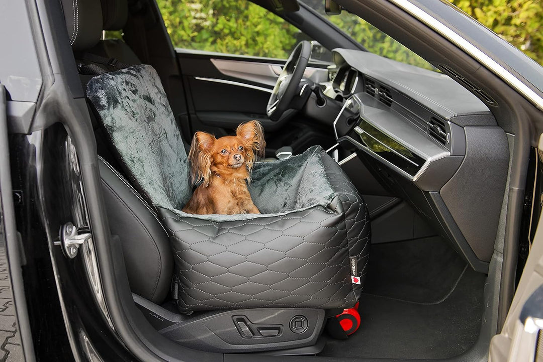 Luxuriös Hunde Auto Sitz | Autositz für Hunde, Rückbank, Vordersitz | Universal Waschbar Hundeautosi