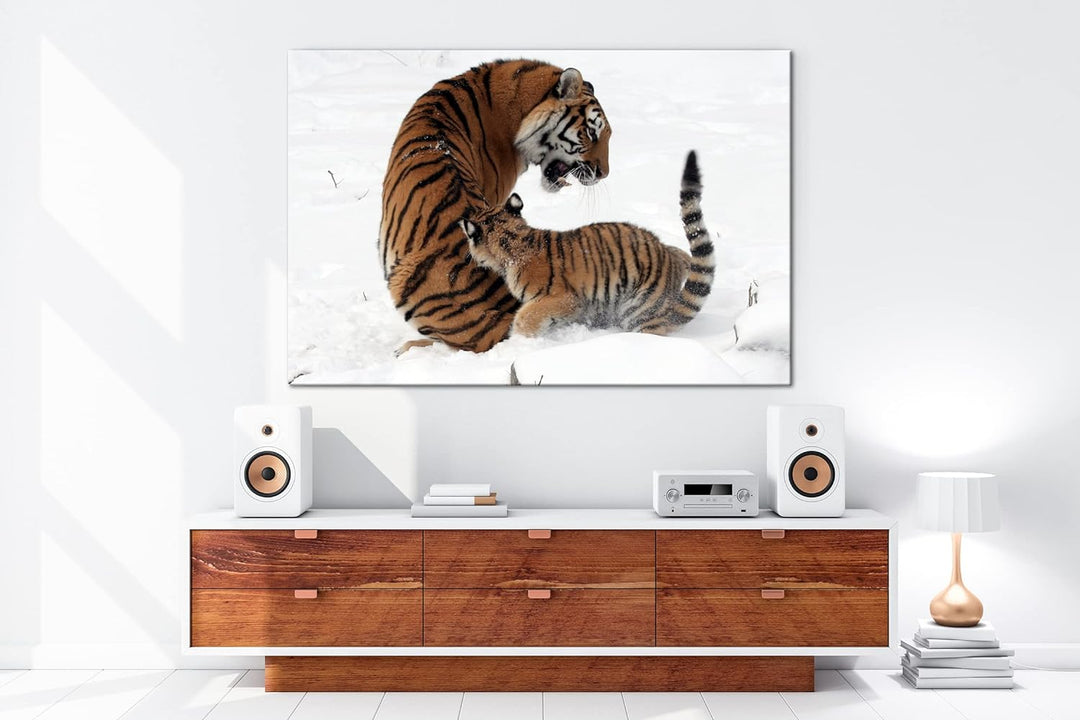 deyoli Tigermutter mit Jungtier in schöner Schneelandschaft im Format: 80x60 als Leinwandbild, Motiv