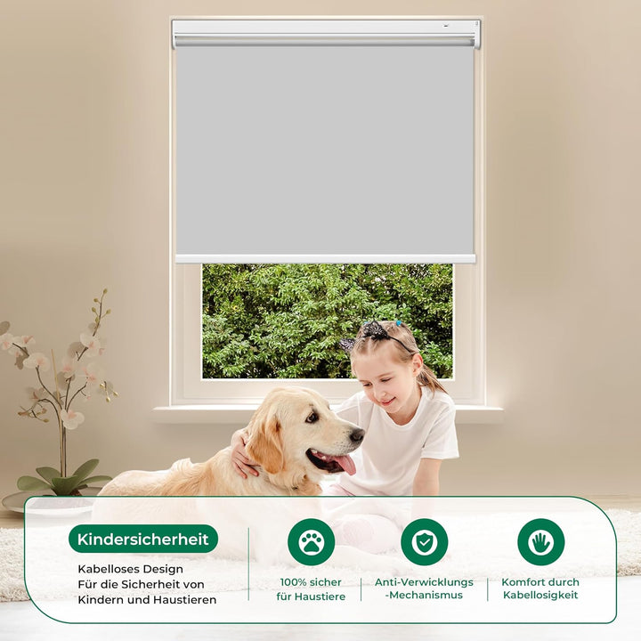 Allesin Wiederaufladbare Verdunklungsrollo ohne Bohren, (50x100cm,Grau) Elektrische Rollo Innen, Lei