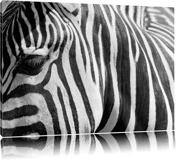 Pixxprint Zebra Porträt Format: 100x70 auf Leinwand, XXL riesige Bilder fertig gerahmt mit Keilrahme