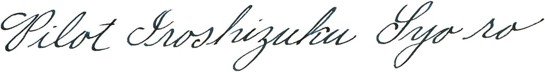 PILOT Iroshizuku 69206 Füllfederhalter-Tinte, Syo-Ro, Tau auf Kiefernbaum (dunkles Türkis), 50 ml Fl