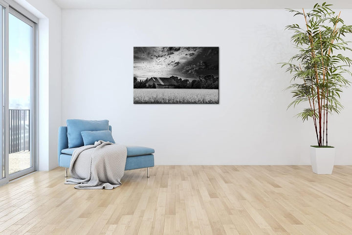 deyoli Scheune am blühendem Feld Effekt: Schwarz&Weiss Format: 60x40 als Leinwandbild, Motiv fertig
