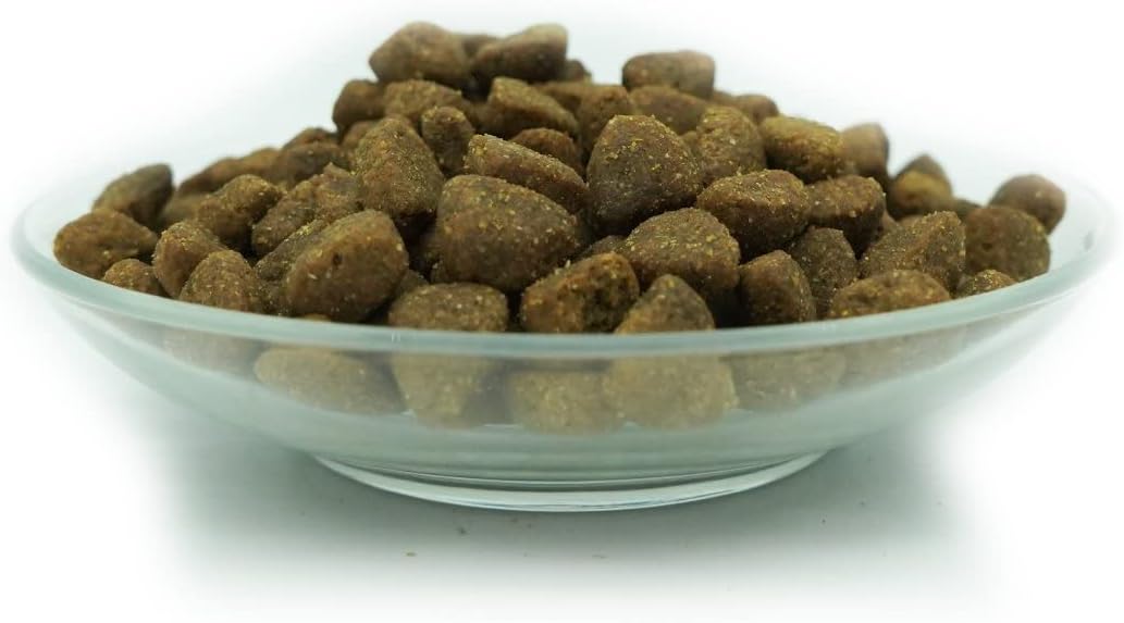 Bellfor Premium PUR FleischPlus Glutefrei Hundefutter mit Hohem Fleischanteil 10 kg - Die ideale Nah