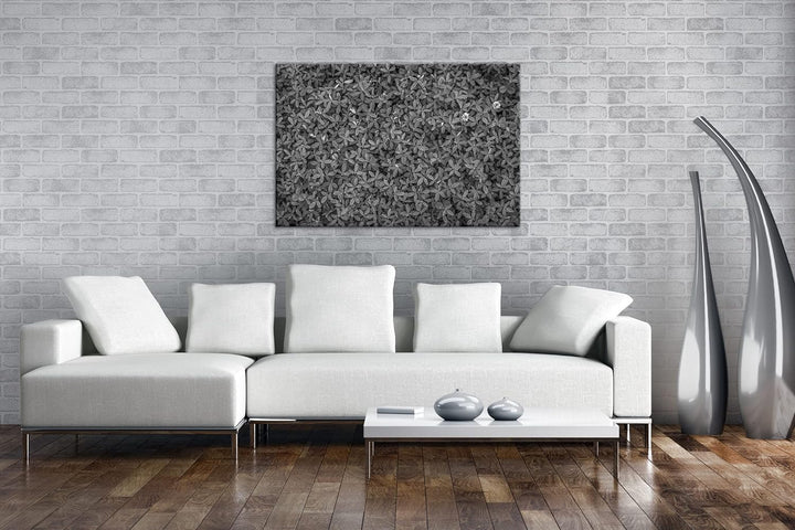 deyoli saftig grüne Kleewiese Effekt: Schwarz&Weiss Format: 80x60 als Leinwandbild, Motiv fertig ger