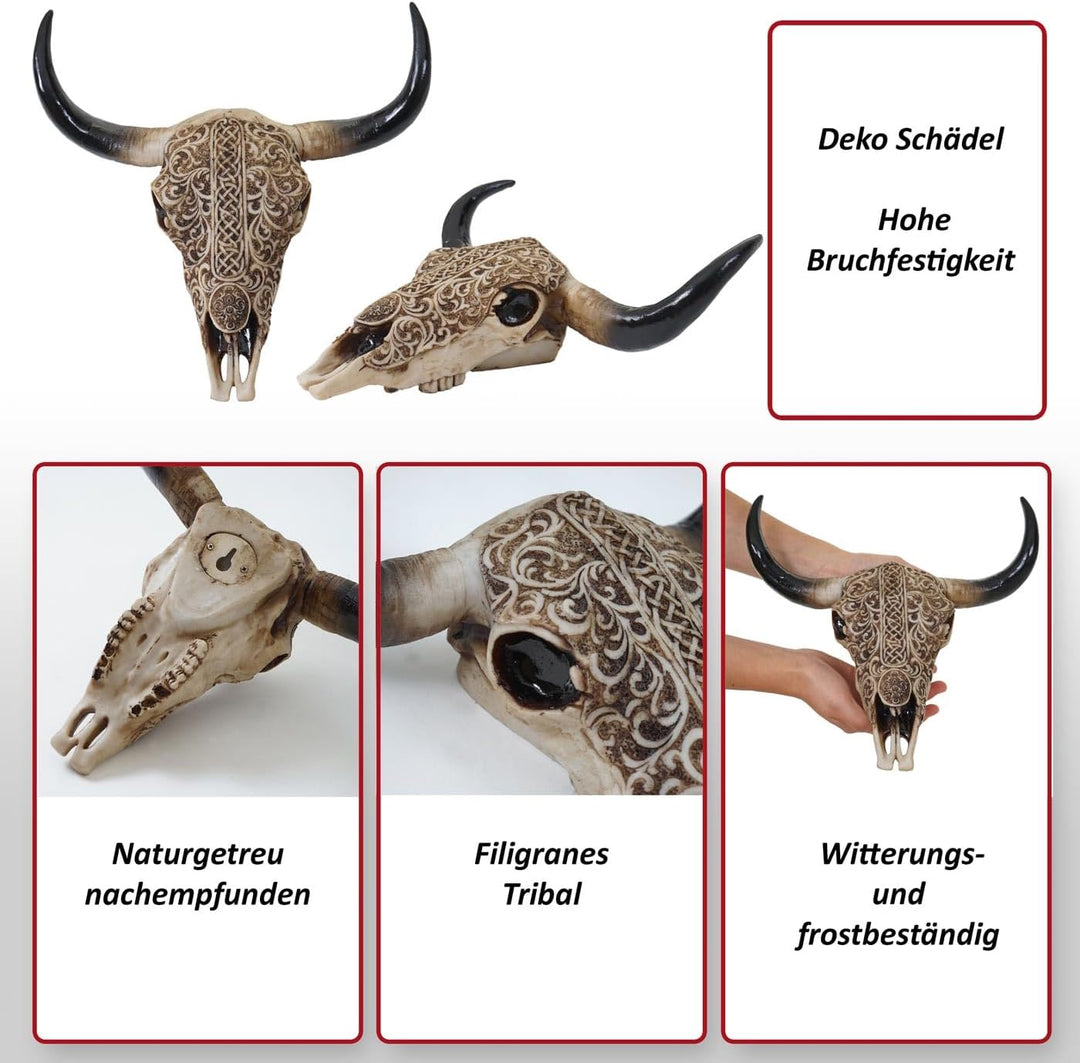 Mendler Deko Schädel 31cm HWC-C15, Polyresin Stier Bulle Longhorn Kopf Trophäe mit Tribal, In-/Outdo
