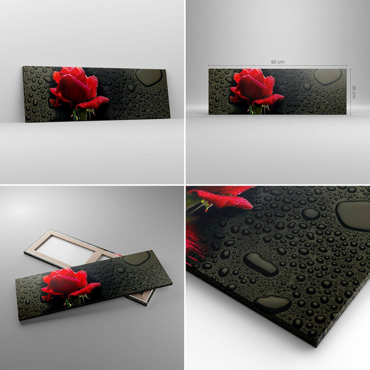 Panorama Bilder auf Leinwand Blume rote rose wasser tau Leinwandbild 90x30cm Wandbilder Dekoration W