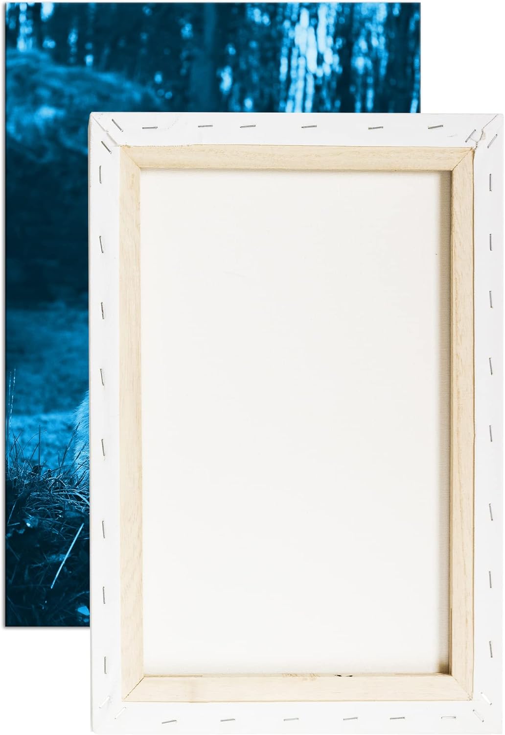 deyoli süsser Fuchs im Wald Format: 80x60 Effekt: Monocrome Blau als Leinwand, Motiv fertig gerahmt