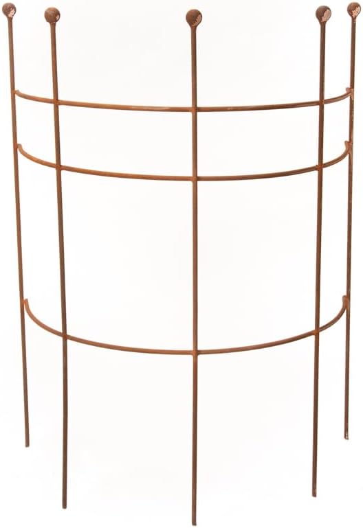 ecosoul Staudenhalter Strauchhalter Staudenstütze Rankgerüst halbrund braun Rost Rankhilfe Metall Ei