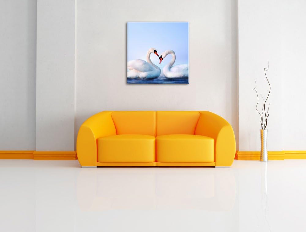 Pixxprint Zwei prächtige Schwäne auf dem Wasser, Format: 70x70 auf Leinwand, 70x70