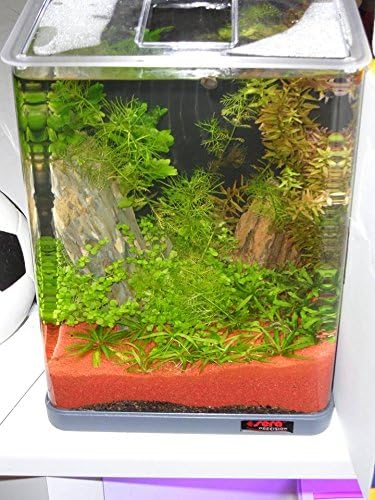 sera Biotop Nano LED Cube 16 - 16 l Süsswasser-Nano-Komplettaquarium mit LED Beleuchtung und