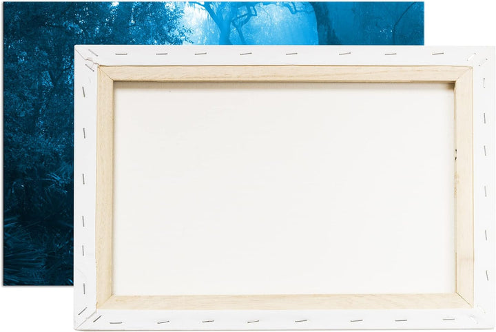 deyoli tropischer Waldweg Format: 80x60 Effekt: Monocrome Blau als Leinwand, Motiv fertig gerahmt au