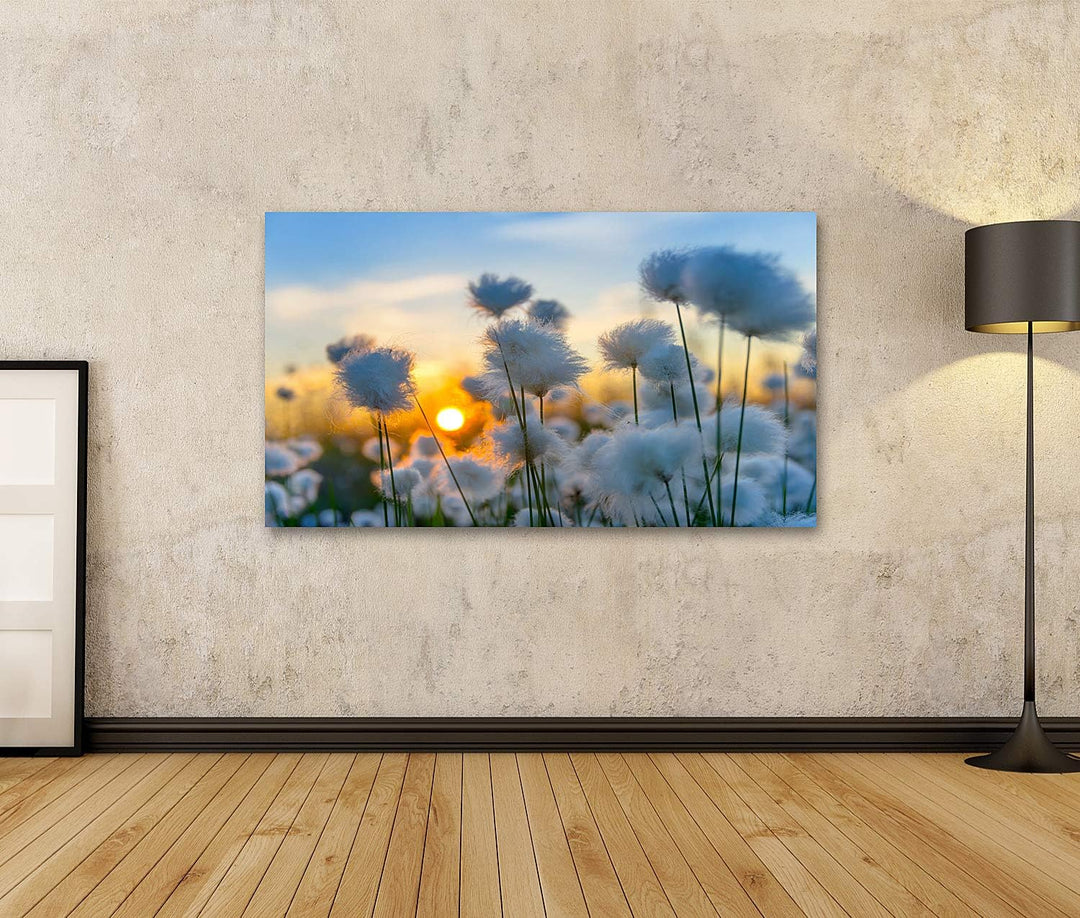 islandburner Bild auf Leinwand Baumwolle Gras Sonnenuntergang Bilder Wandbilder Poster Leinwand 100x