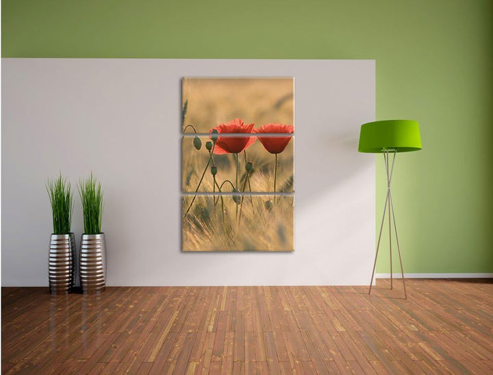 Pixxprint Zwei schöne Mohnblumen 3-Teiler Leinwandbild 120x80 Bild auf Leinwand