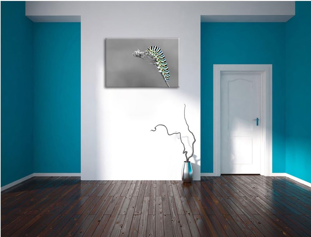 Grüne Raupe auf Ast Insekten Urwald Tiere schwarz/weiss Format: 100x70 auf Leinwand, XXL riesige Bil