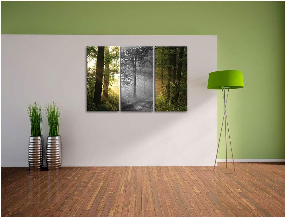 Ruhiger Waldweg im Grünen schwarz/weiss 3-Teiler Leinwandbild 120x80 Bild auf Leinwand, XXL riesige