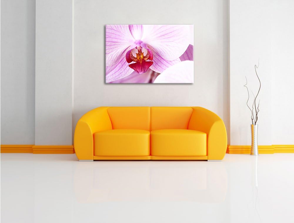 Prächtige Rosa Orchidee Format: 100x70 auf Leinwand, XXL riesige Bilder fertig gerahmt mit Keilrahme