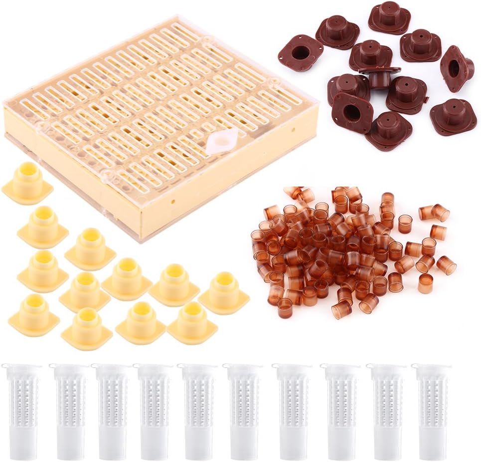 Bienenzucht Koffer Set, Imkerei Queen Aufzucht Cell Cups Kit Bee Bewahrer Werkzeuge Imkerei Ausrüstu