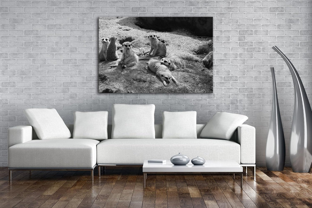 deyoli niedliche Erdmännchen Familie Effekt: Schwarz/Weiss im Format: 80x60 als Leinwandbild, Motiv