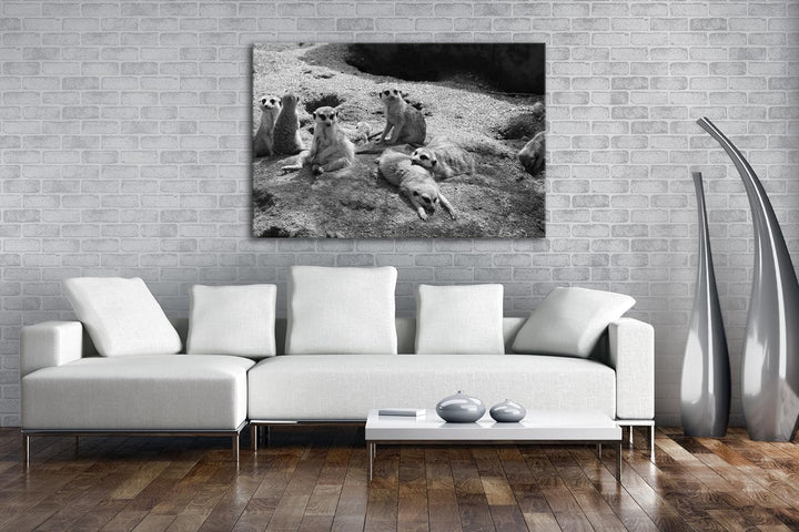 deyoli niedliche Erdmännchen Familie Effekt: Schwarz/Weiss im Format: 80x60 als Leinwandbild, Motiv