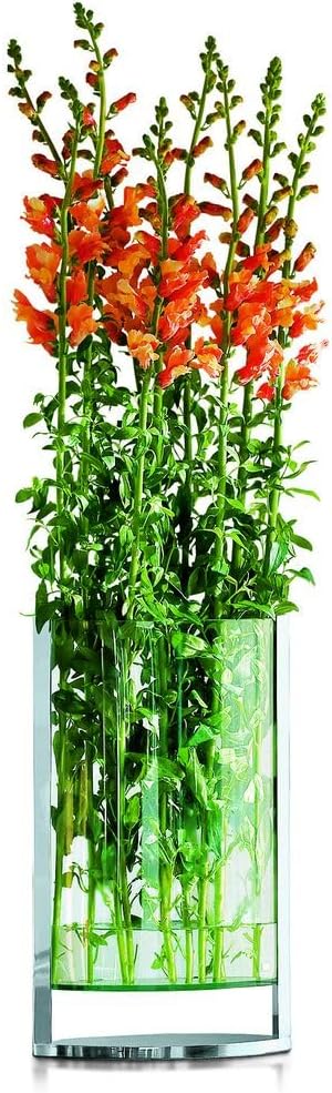 PHILIPPI - Decade Vase L - Klassiker Blumen schweben über dem Tisch - Zeitlos und Elegant, L