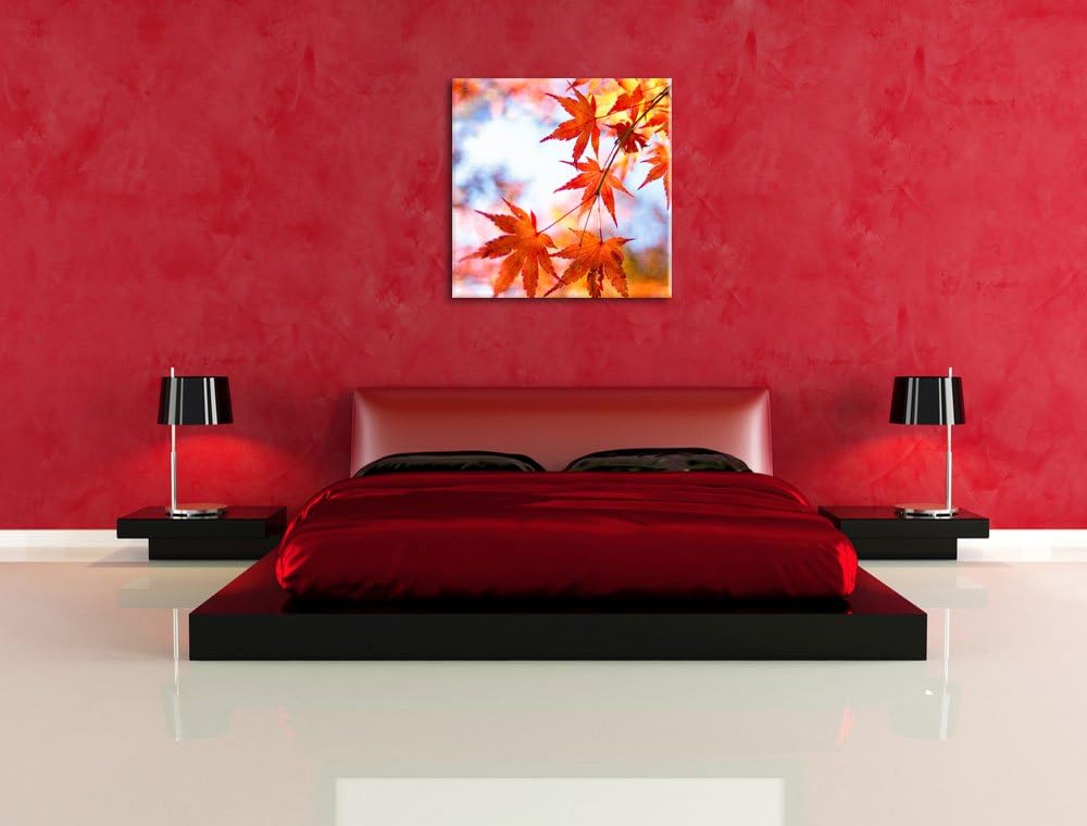 Roter Ahorn im Sonnenlicht, Format: 70x70 auf Leinwand, XXL riesige Bilder fertig gerahmt mit Keilra
