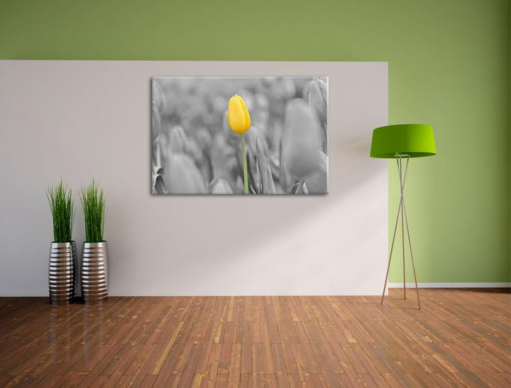 Gelbes Tulpenmeer schwarz/weiss Format: 100x70 auf Leinwand, XXL riesige Bilder fertig gerahmt mit K