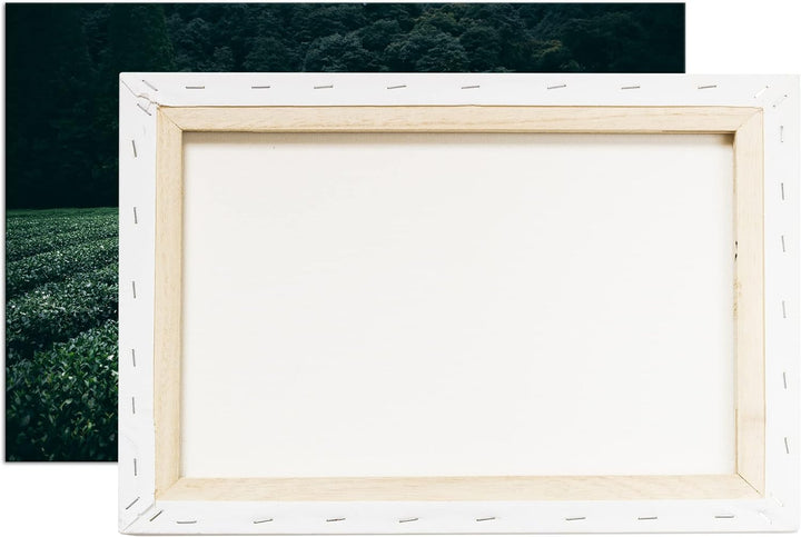 deyoli Tee Feld Format: 80x60 als Leinwandbild, Motiv fertig gerahmt auf Echtholzrahmen, Hochwertige