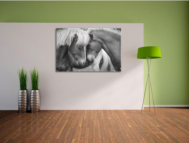 Pixxprint Zwei schmusende Pferde Kunst / 100x70cm Leinwandbild bespannt auf Holzrahmen/Wandbild Kuns