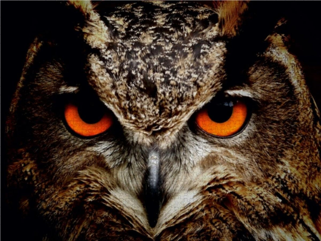 CALVENDO Puzzle EIN Bild aus dem Kalender Eulen • Augen der Nacht 2000 Teile Lege-Grösse 90 x 67 cm