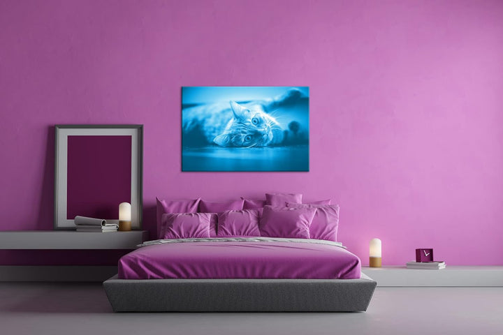 deyoli süsse verspielte Katze Format 80x60 Effekt: Monocrome Blau als Leinwandbild, Motiv fertig ger