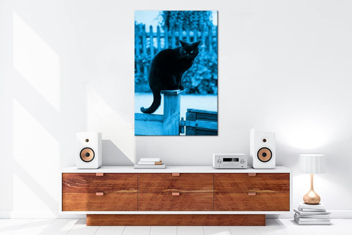 deyoli thronende Schwarze Katze Format 100x70 Effekt: Monocrome Blau als Leinwandbild, Motiv fertig