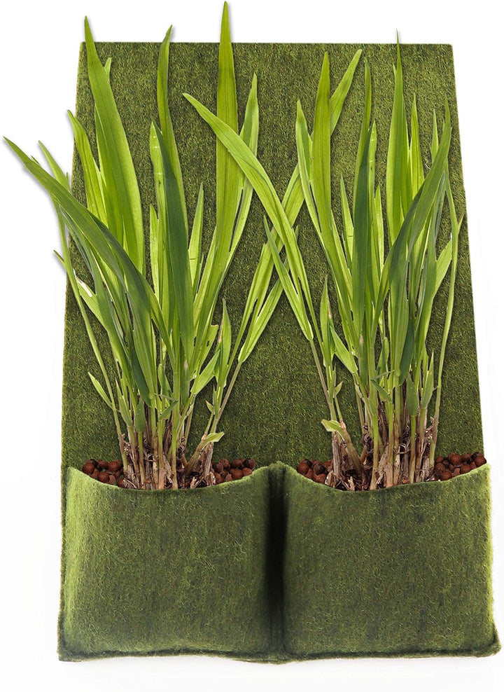 3 Aquagart Pflanztaschen 100 cm x 60 cm I Teich Ufermatte I Böschungsmatte für Teichumrandung I Teich