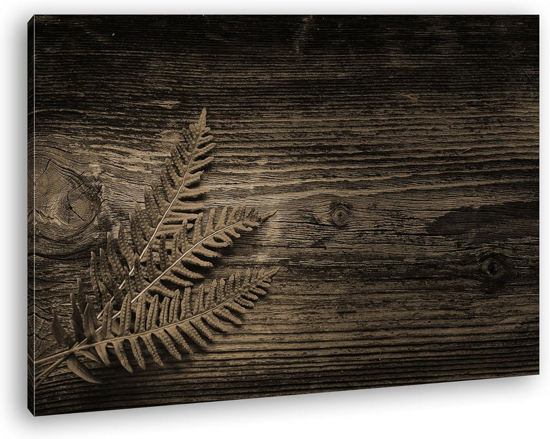 deyoli kleiner grüner Farn auf einer Holztischplatte Format: 100x70 Effekt: Sepia als Leinwandbild,