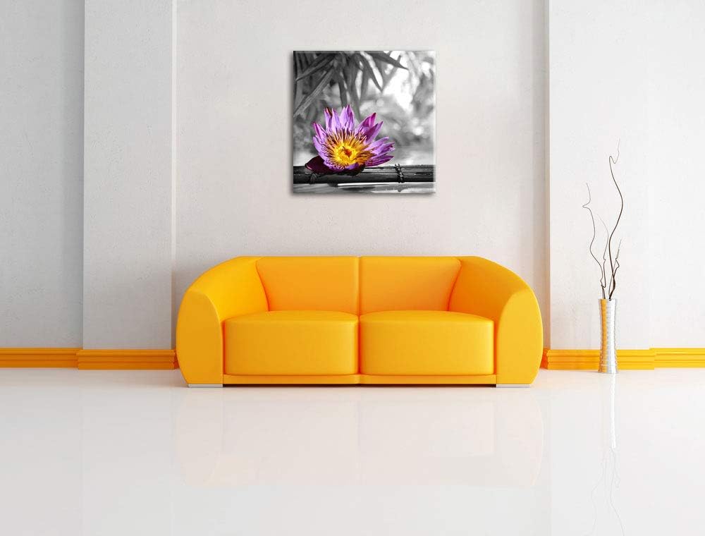 Pixxprint zarte Seerose auf Bambus als Leinwandbild Quadratisch/Grösse: 70x70 / Wandbild/Kunstdruck/