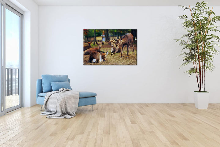 deyoli süsse Rehe im Wildgehege Format: 80x60 als Leinwand, Motiv fertig gerahmt auf Echtholzrahmen,