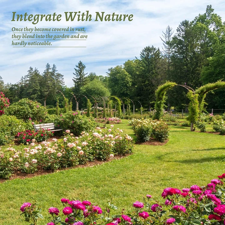 KAZITOO 4 Stück Grosse 60cm hohe Rostige Bogen-Pflanzenstütze, halbrund Rost-Blumenstütz-Ringkäfig-R