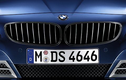 BMW Original Frontziergitter Set Performance schwarz für Z4 E89