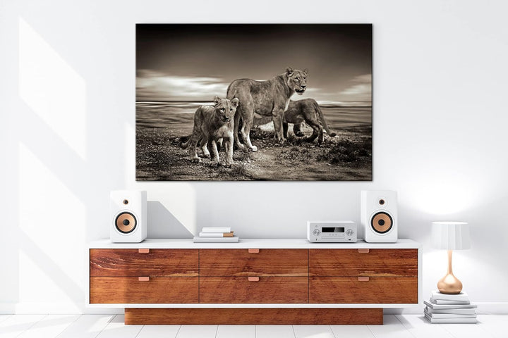 deyoli zauberhafte Löwenfamilie Format: 80x60 als Leinwandbild, Motiv fertig gerahmt auf Echtholzrah