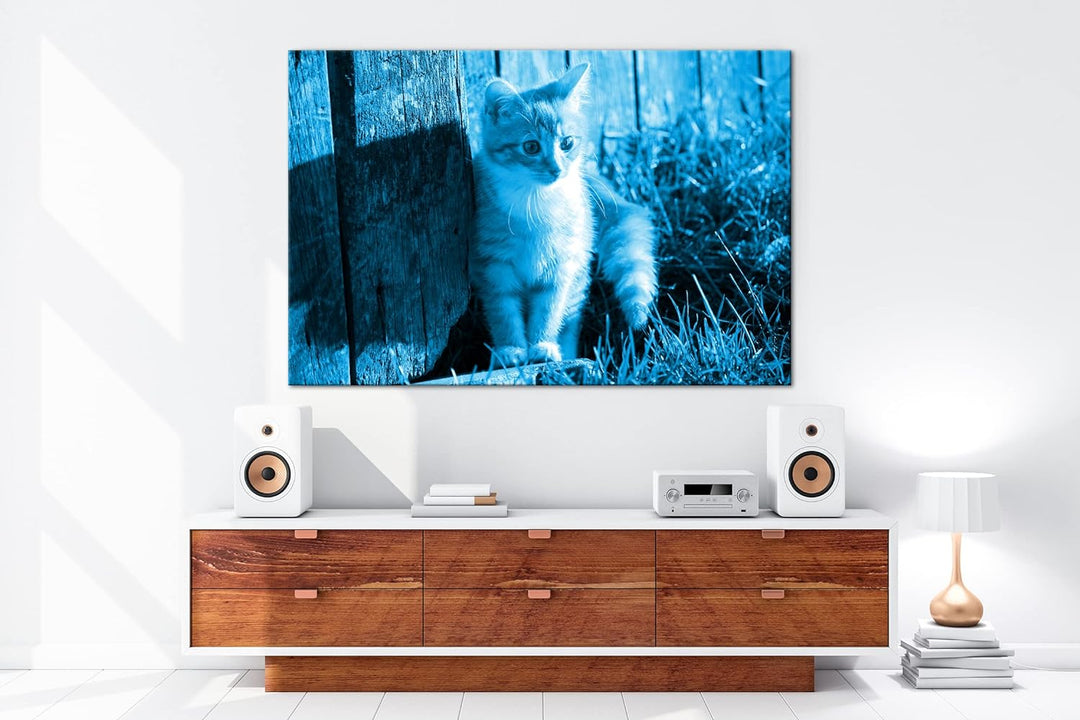 deyoli süsse kleine Katze im Sonnenschein Format 80x60 Effekt: Monocrome Blau als Leinwandbild, Moti