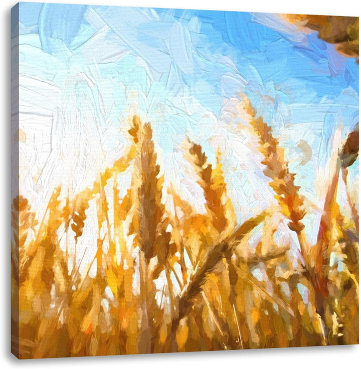 Getreide im Sonnenlicht, Format: 70x70 auf Leinwand, XXL riesige Bilder fertig gerahmt mit Keilrahme